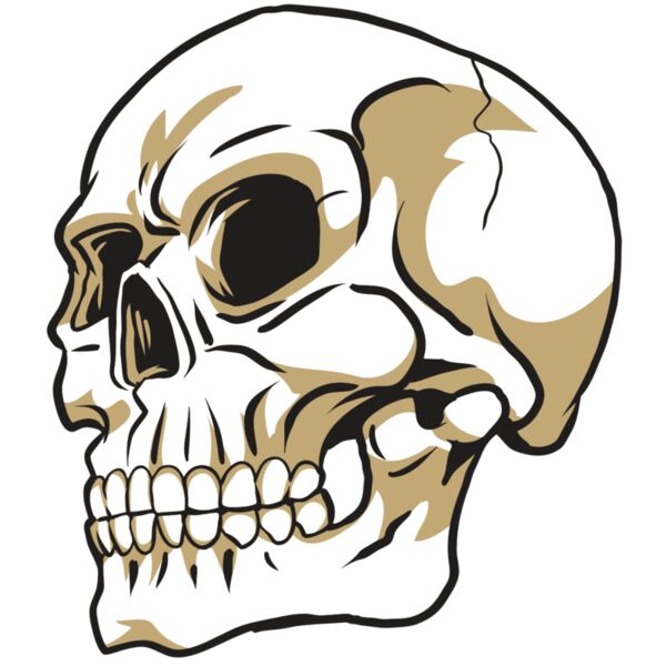 AR24 SKULL 08 RQC Thumbnail