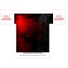 100-3XLARGE ADULT Thumbnail
