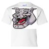 Ultra Cotton Youth T-Shirt Thumbnail